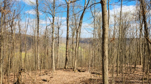 Tract 2 - Pike Lake Getaway property photo