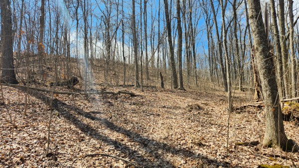 Tract 2 - Pike Lake Getaway property photo