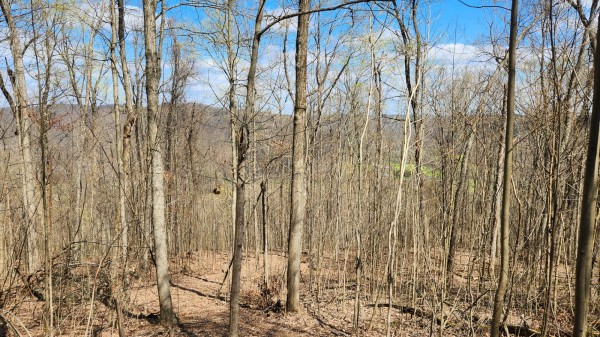 Tract 2 - Pike Lake Getaway property photo