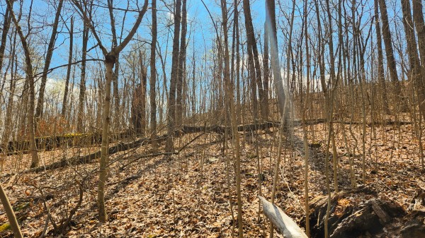 Tract 2 - Pike Lake Getaway property photo