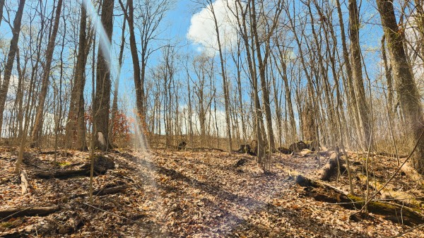 Tract 2 - Pike Lake Getaway property photo