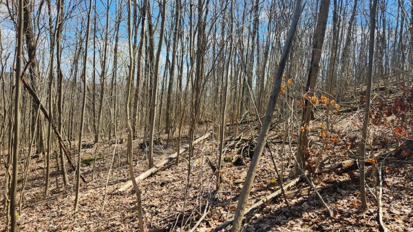 Tract 2 - Pike Lake Getaway property photo