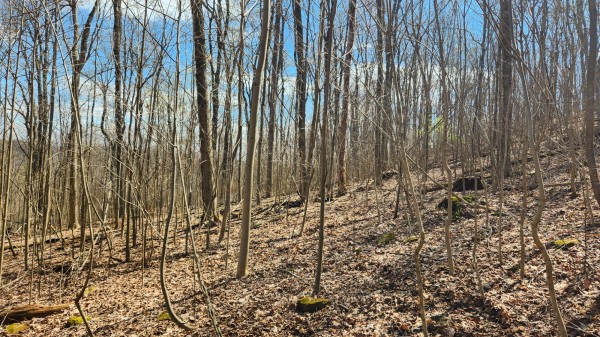 Tract 2 - Pike Lake Getaway property photo