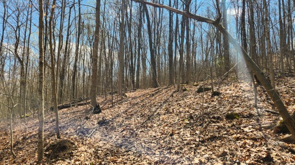 Tract 2 - Pike Lake Getaway property photo