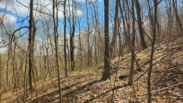 Tract 2 - Pike Lake Getaway property photo