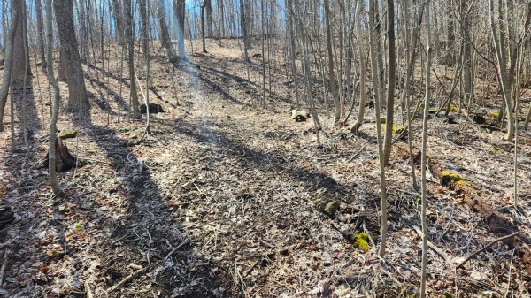 Tract 2 - Pike Lake Getaway property photo