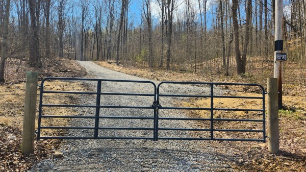 More of Tract 2 - Pike Lake Getaway