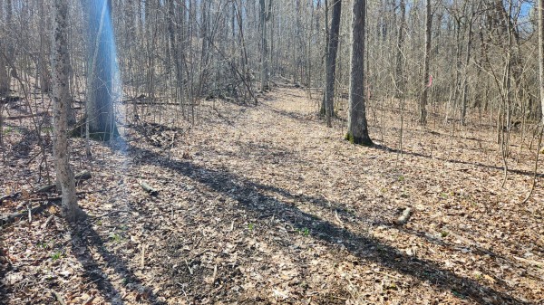 Tract 2 - Pike Lake Getaway property photo