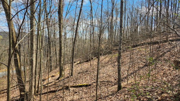 Tract 2 - Pike Lake Getaway property photo