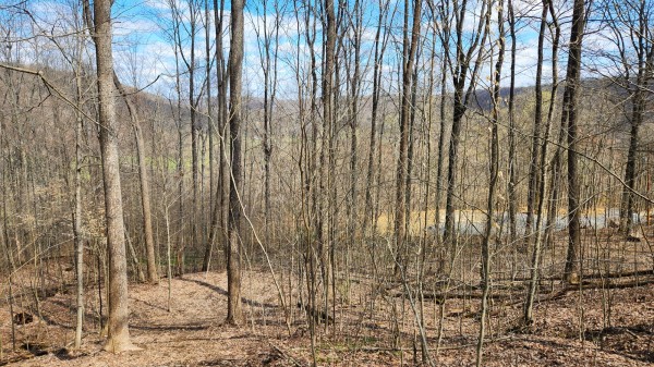 Tract 2 - Pike Lake Getaway property photo
