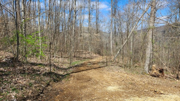 Tract 2 - Pike Lake Getaway property photo