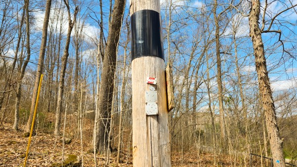 More of Tract 2 - Pike Lake Getaway