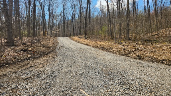 More of Tract 2 - Pike Lake Getaway
