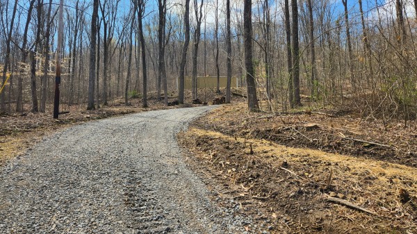 Tract 2 - Pike Lake Getaway property photo