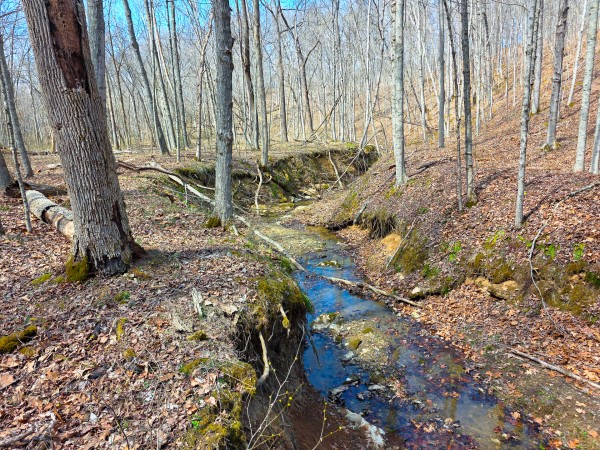 Big Timber Ridge - Phase II Tract 7 property photo