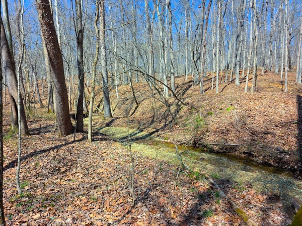 Big Timber Ridge - Phase II Tract 7 property photo