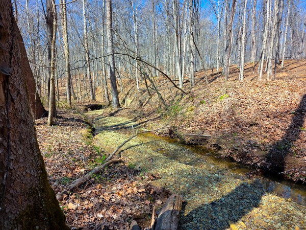 Big Timber Ridge - Phase II Tract 7 property photo