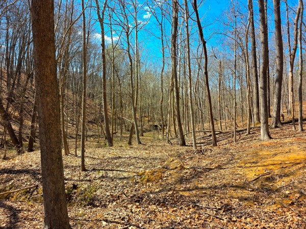 Big Timber Ridge - Phase II Tract 7 property photo