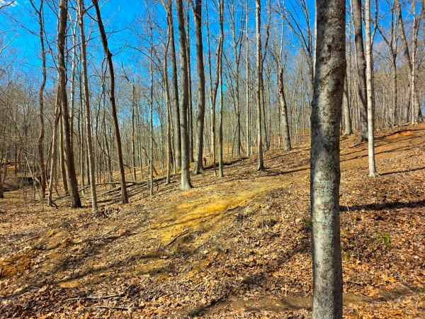 Big Timber Ridge - Phase II Tract 7 property photo