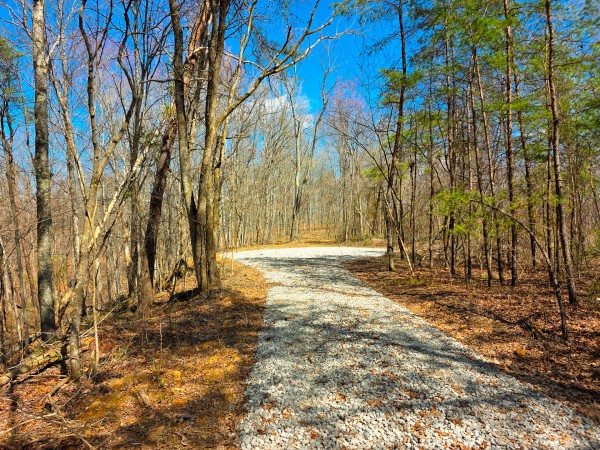 Big Timber Ridge - Phase II Tract 7 property photo