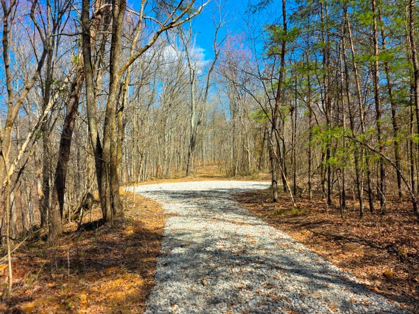 More of Big Timber Ridge - Phase II Tract 7