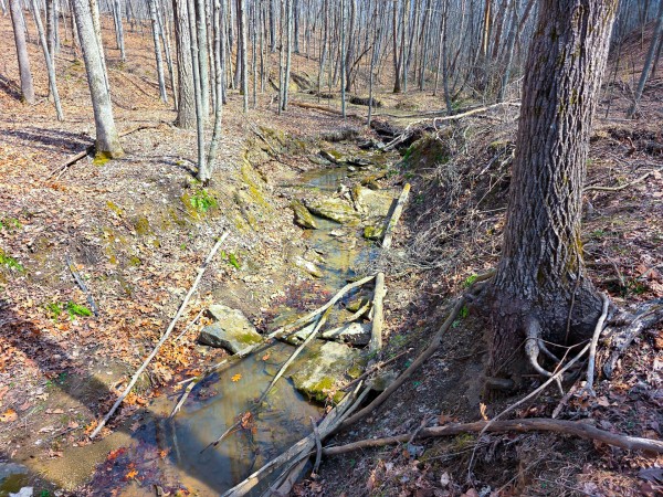 More of Big Timber Ridge - Phase II Tract 7