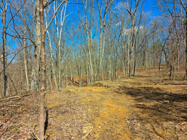 More of Big Timber Ridge - Phase II Tract 7