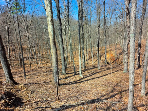 More of Big Timber Ridge - Phase II Tract 7