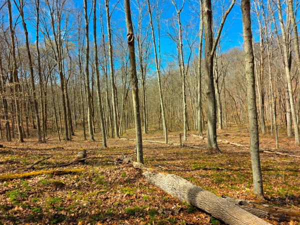 Big Timber Ridge - Phase II Tract 7 property photo