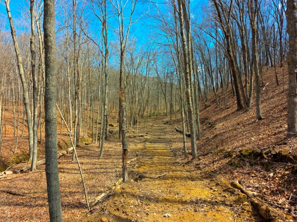 Big Timber Ridge - Phase II Tract 7 property photo