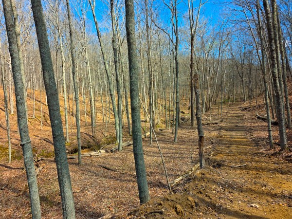 Big Timber Ridge - Phase II Tract 7 property photo