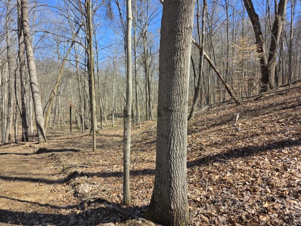 Big Timber Ridge - Phase II Tract 5 property photo