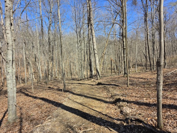 Big Timber Ridge - Phase II Tract 5 property photo