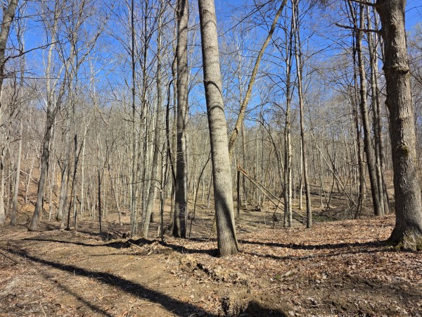 Big Timber Ridge - Phase II Tract 5 property photo