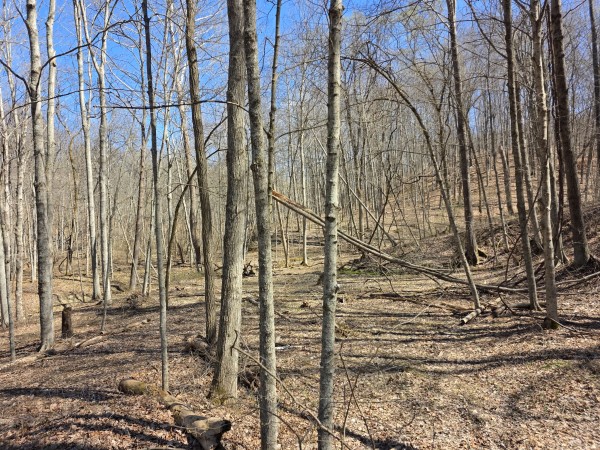Big Timber Ridge - Phase II Tract 5 property photo