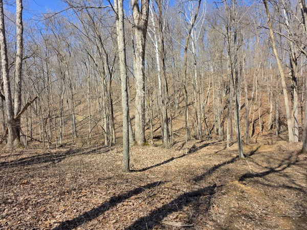 Big Timber Ridge - Phase II Tract 5 property photo