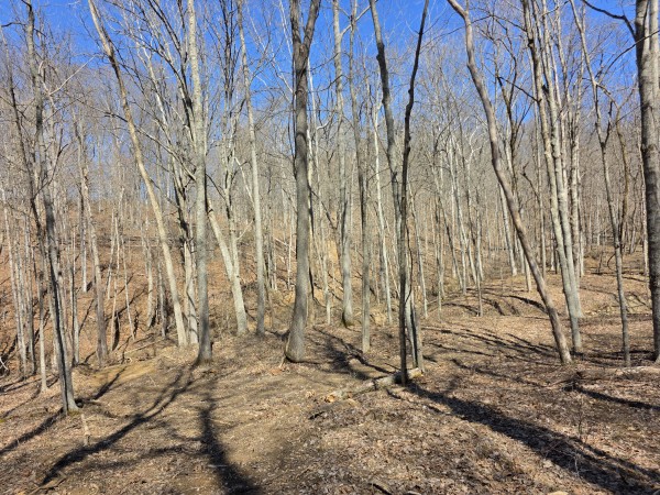 Big Timber Ridge - Phase II Tract 5 property photo