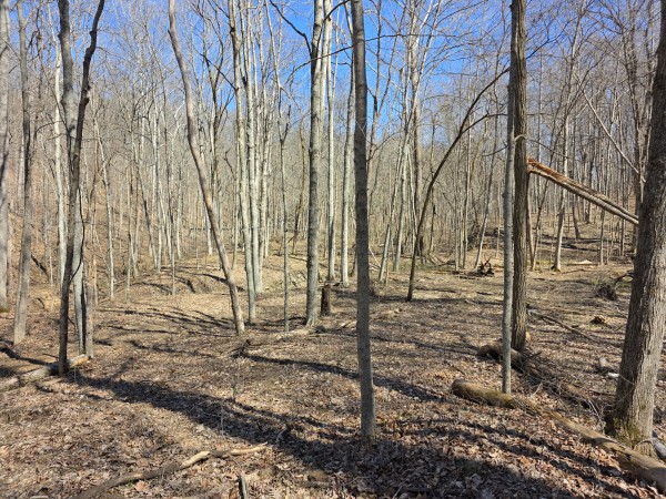 Big Timber Ridge - Phase II Tract 5 property photo