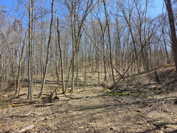 Big Timber Ridge - Phase II Tract 5 property photo