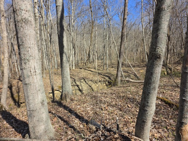 Big Timber Ridge - Phase II Tract 5 property photo