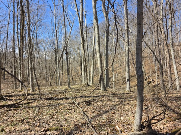 Big Timber Ridge - Phase II Tract 5 property photo