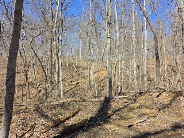 Big Timber Ridge - Phase II Tract 5 property photo