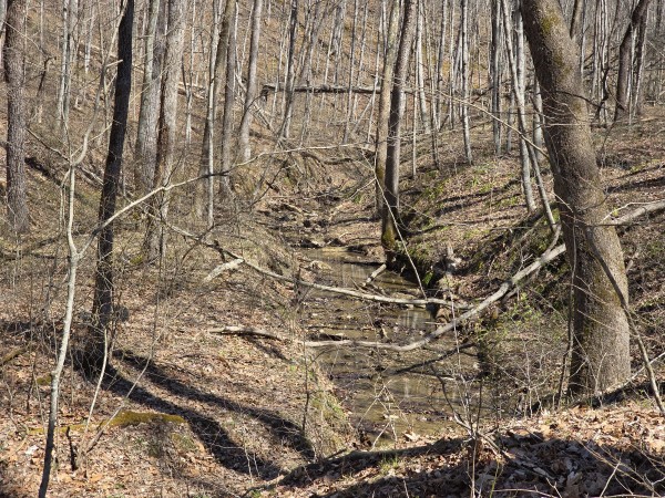 Big Timber Ridge - Phase II Tract 5 property photo