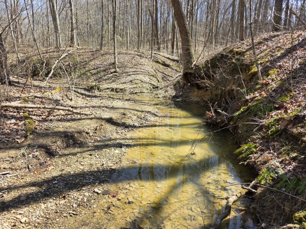 Big Timber Ridge - Phase II Tract 5 property photo