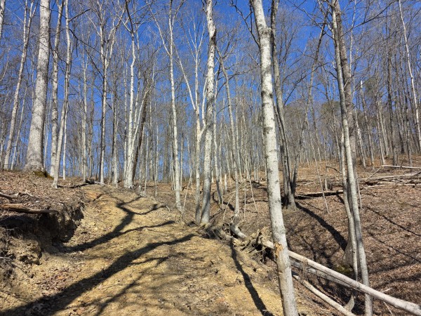 Big Timber Ridge - Phase II Tract 5 property photo