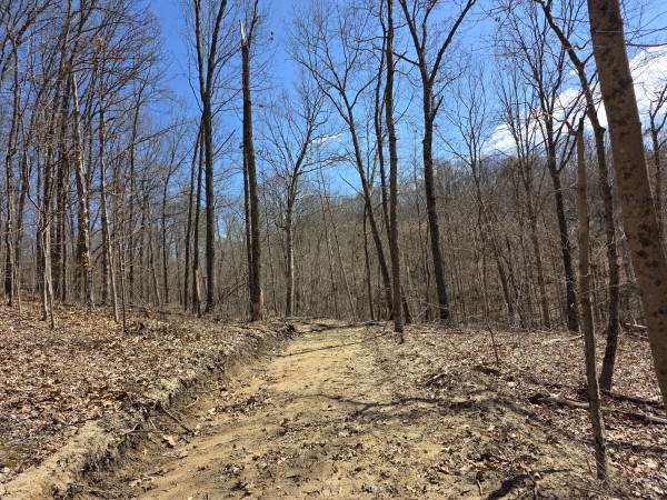 Big Timber Ridge - Phase II Tract 5 property photo