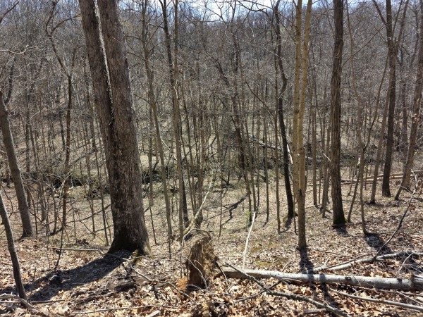 Big Timber Ridge - Phase II Tract 5 property photo