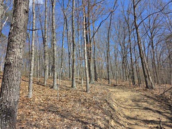 Big Timber Ridge - Phase II Tract 5 property photo