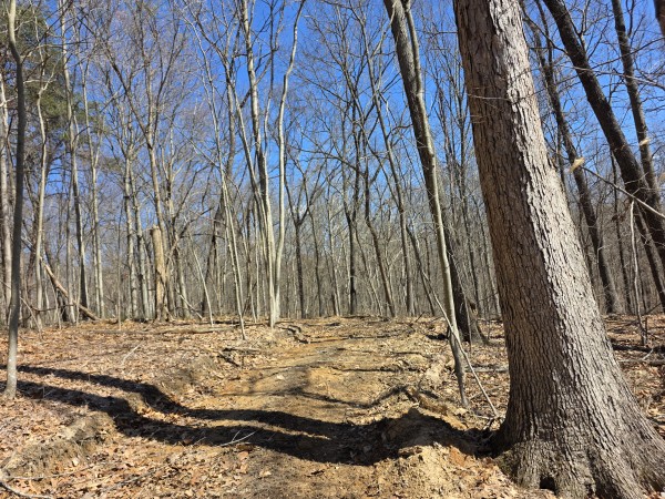 Big Timber Ridge - Phase II Tract 5 property photo