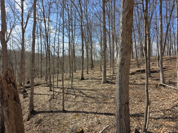 More of Big Timber Ridge - Phase II Tract 5